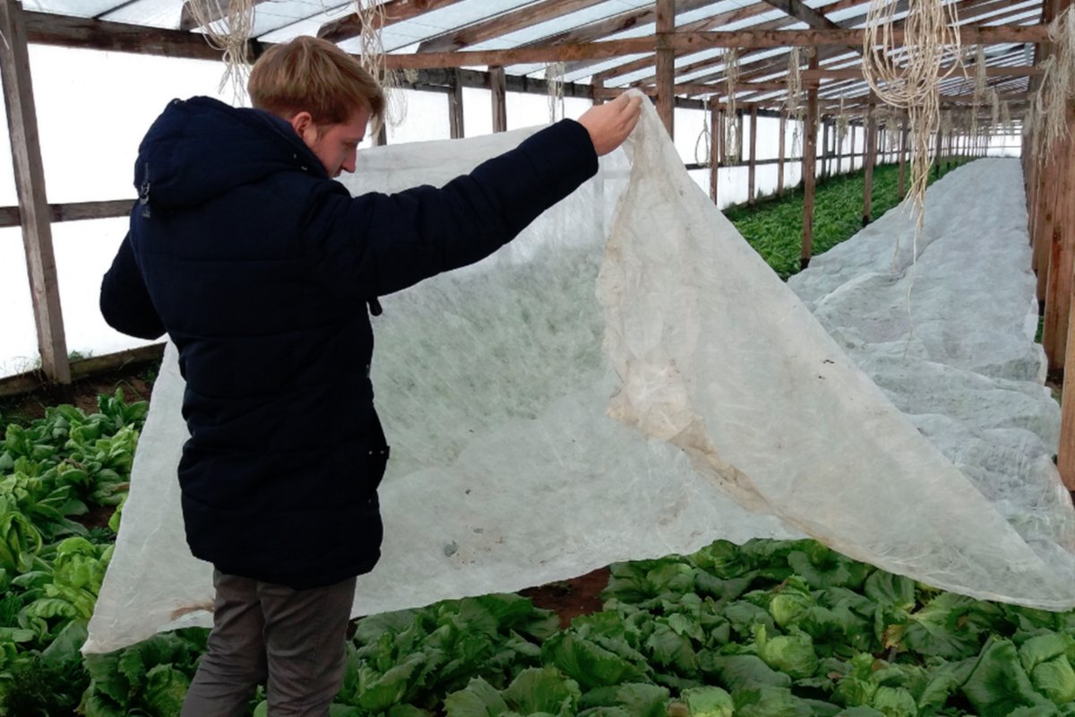 Зеленоградские фермеры стали победителями конкурса «Агростартап»