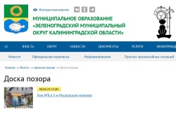 Зеленоградская администрация открывает виртуальную «доску позора»