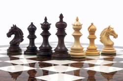 На чемпионате округа по шахматам определят состав сборной муниципалитет