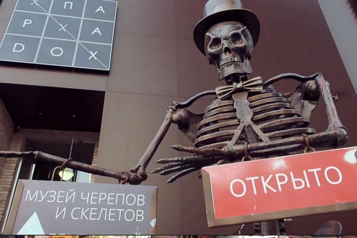 Музей Черепов и Скелетов включат в каталог лучших практик Минстроя России