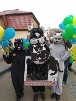 День рождения Зеленоградского кота отпразднуют 30 марта