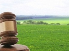 27 июля в Зеленоградске пройдёт открытый аукцион на право заключения договоров аренды земельных участков.